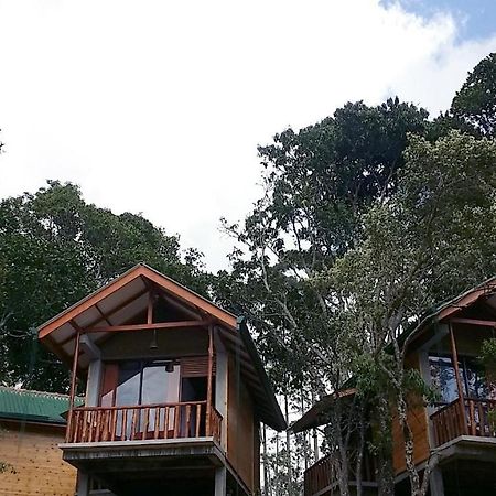 Saffron Eco Cottage Ella Εξωτερικό φωτογραφία