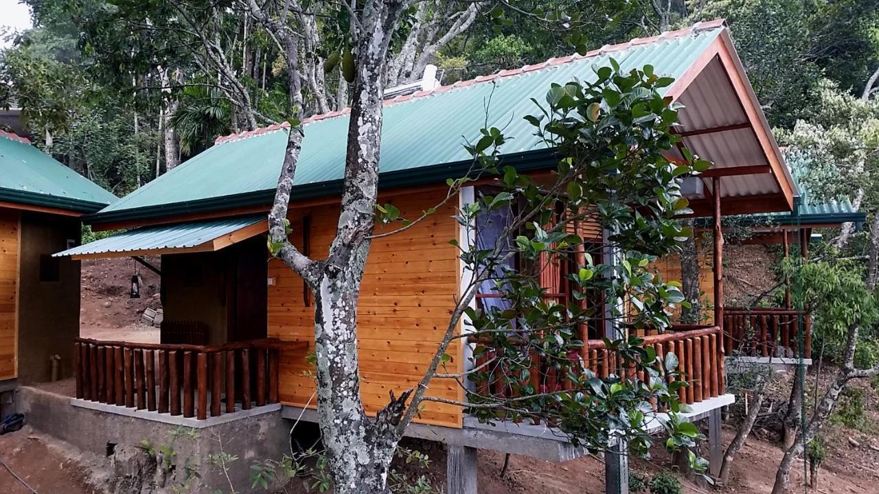 Saffron Eco Cottage Ella Εξωτερικό φωτογραφία