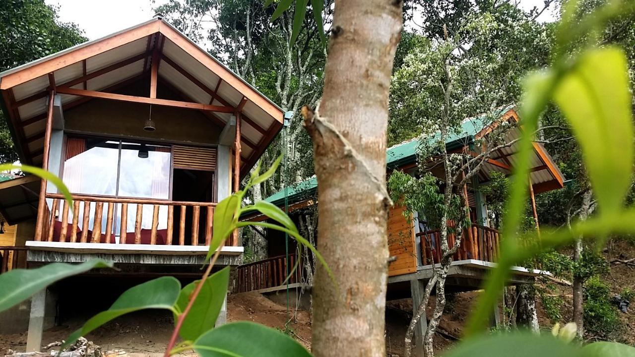 Saffron Eco Cottage Ella Εξωτερικό φωτογραφία