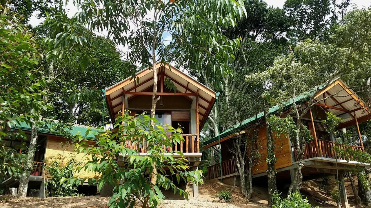Saffron Eco Cottage Ella Εξωτερικό φωτογραφία